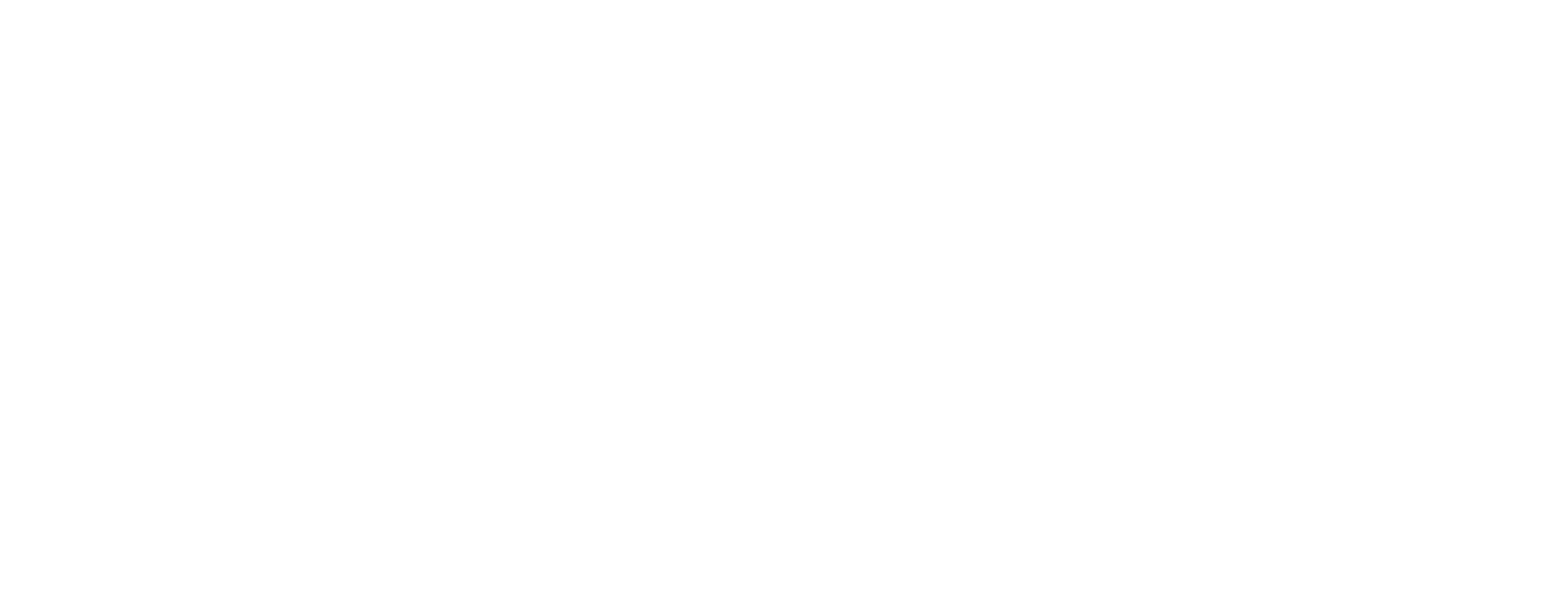 Dr Berg